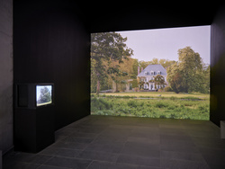 2025 photo Laëtitia Striffling-Marcu @Musée de l'Orangerie