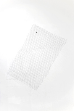the_net, 2019