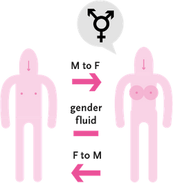 trans-genderl’identità di genere di una persona non combacia con il genere assegnato, ma con quello opposto