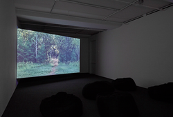  LIGHT/WORK at Sean Kelly, New York, March 19 - April 30, 2016, Photography: Jason Wyche, New York, Courtesy Sean Kelly, New York