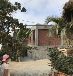 MAPE / A tropical retreat
