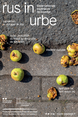 Rus in Urbe