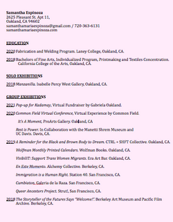 RESUME / CV
