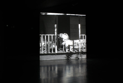 Collection Lambert, Avignon (photo Philippe Daval)