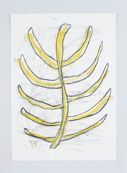 CT Scan, 2019. charcoal and pastel on paper 95cm x 65cm