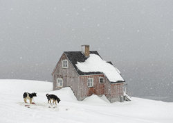 © Tiina ITKONEN