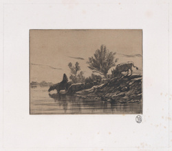 Jacque, Charles. The Watering Hole. Drypoint. 1848.