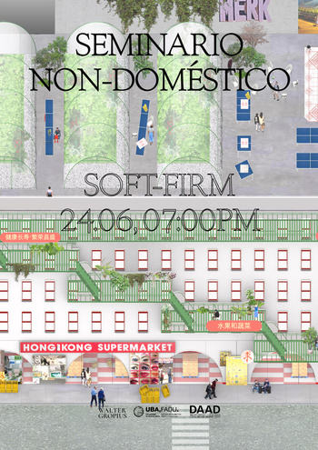 Non-Doméstico Seminar w/ Flora Oficina