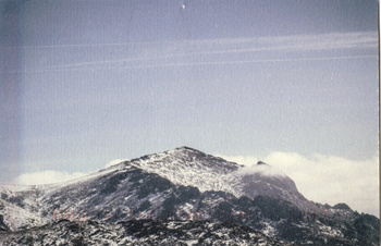 a postcard sent by Arana from Madrid, 2022.
