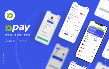 APAY APP Design