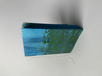 Blue Dot Garden Tijs Bonekamp, Peter Hall, Steve Bowden Book designed by Mark Zurolo