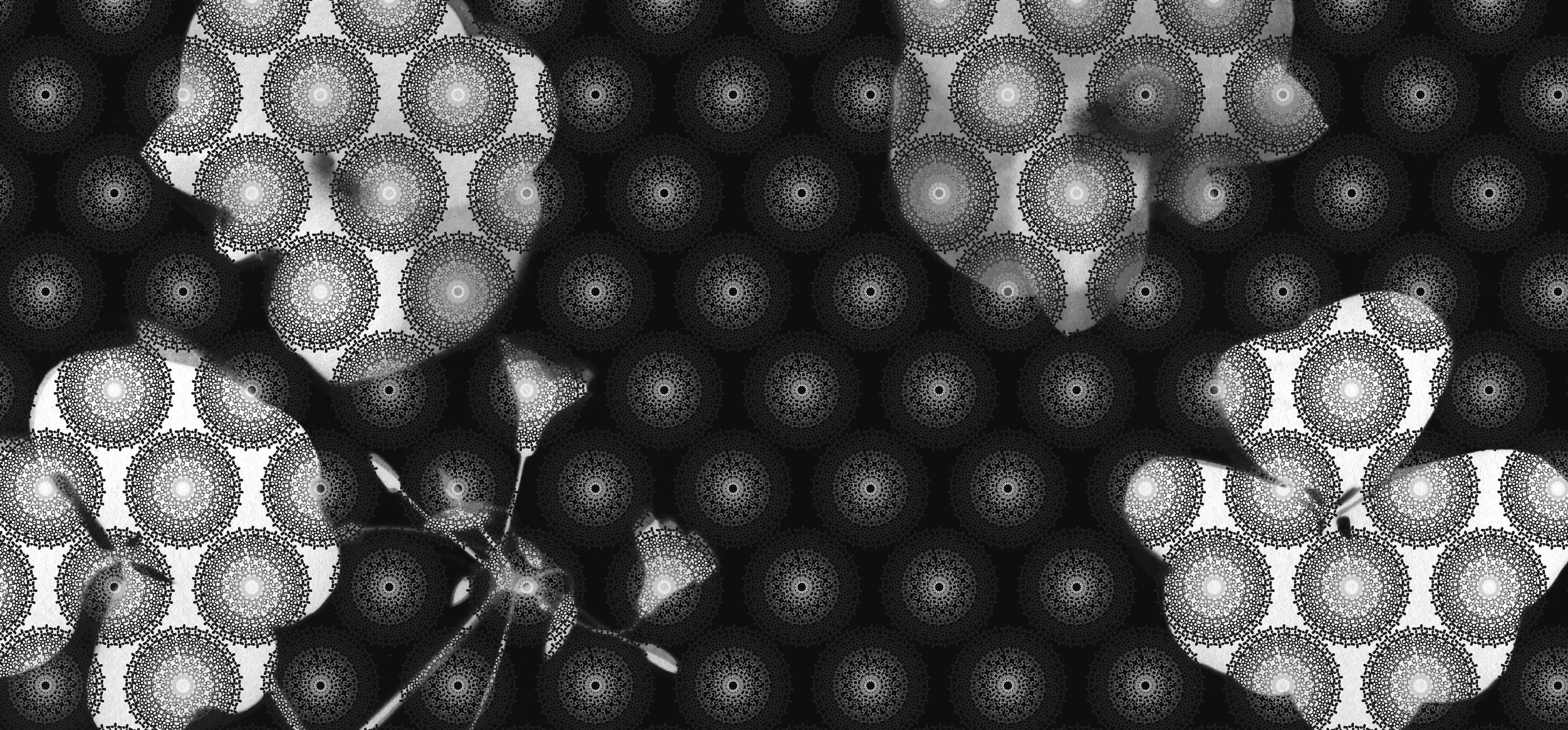 Cyanotype sur tissu – THE COMPTOIR