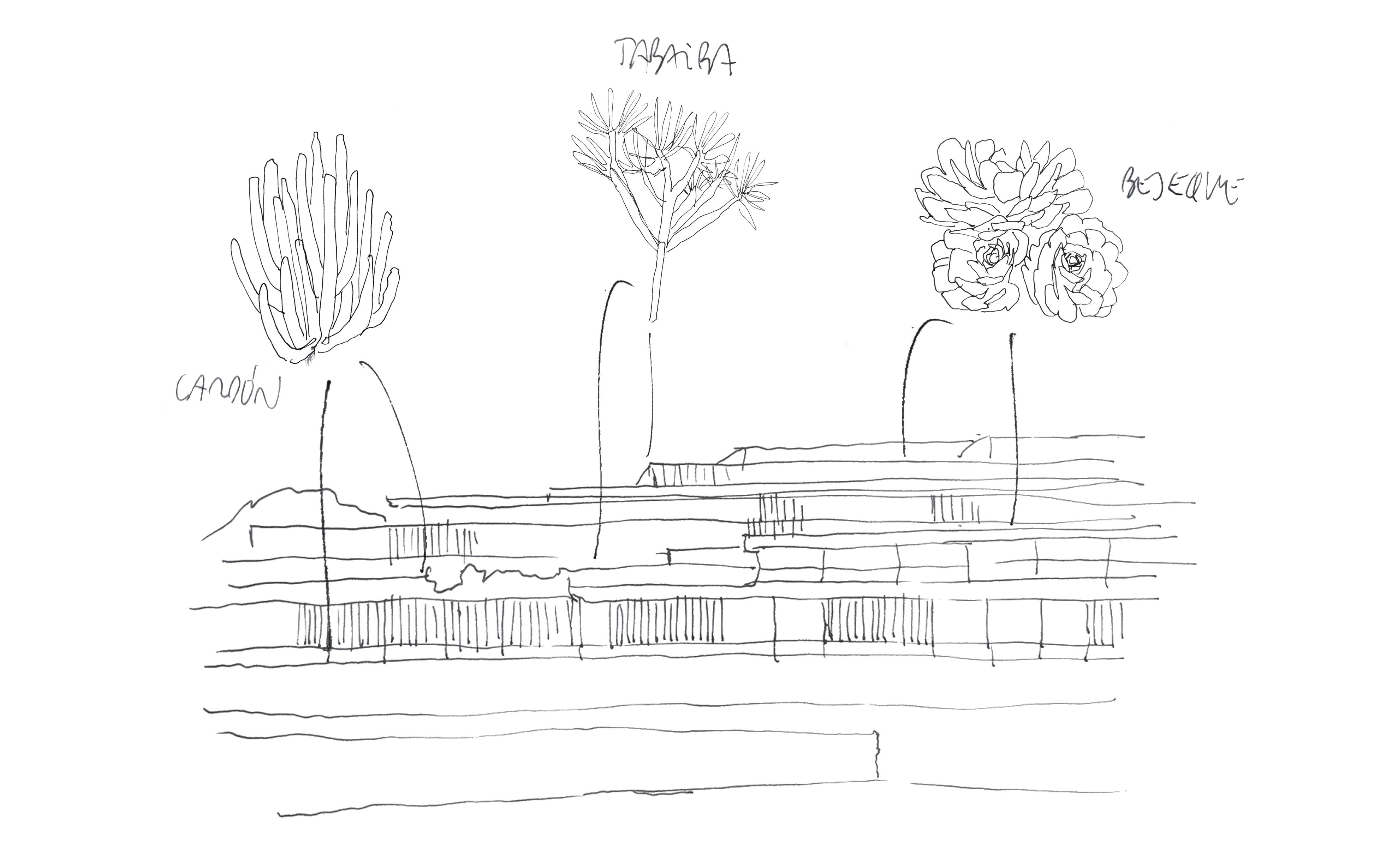 set koratamaragua-es - LA TARDE, image size:3925x2460