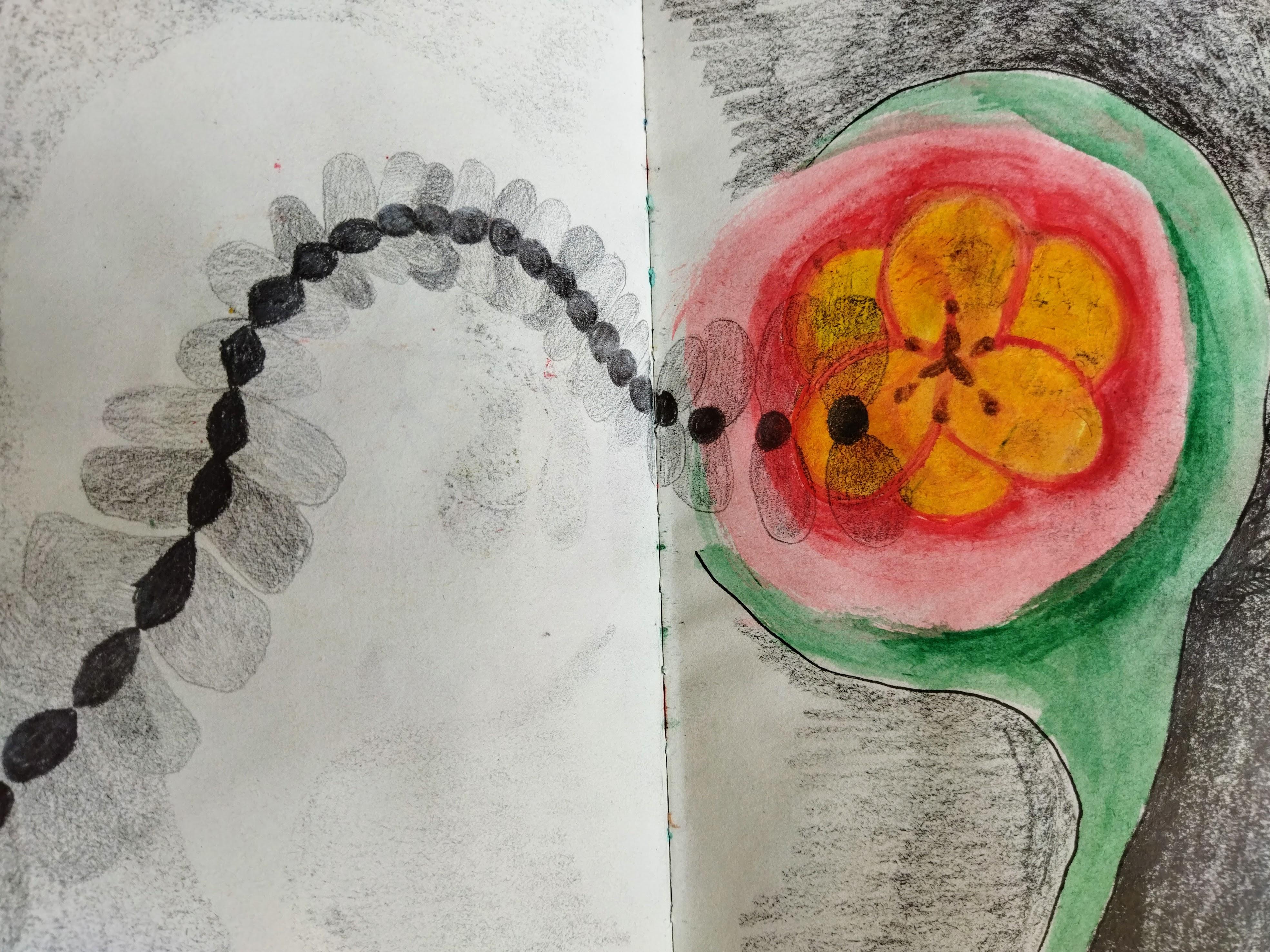 Sketchbook - Ennisofia Salmela Flores