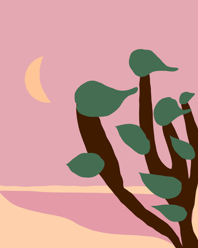 Dunas Landscape - Digital Illustration