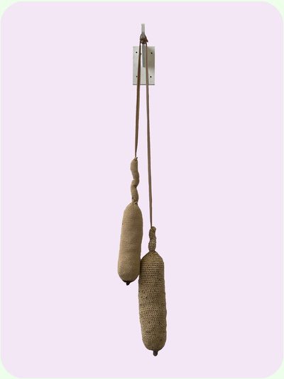 biomorphic boobs  &   the female gaze (2022)