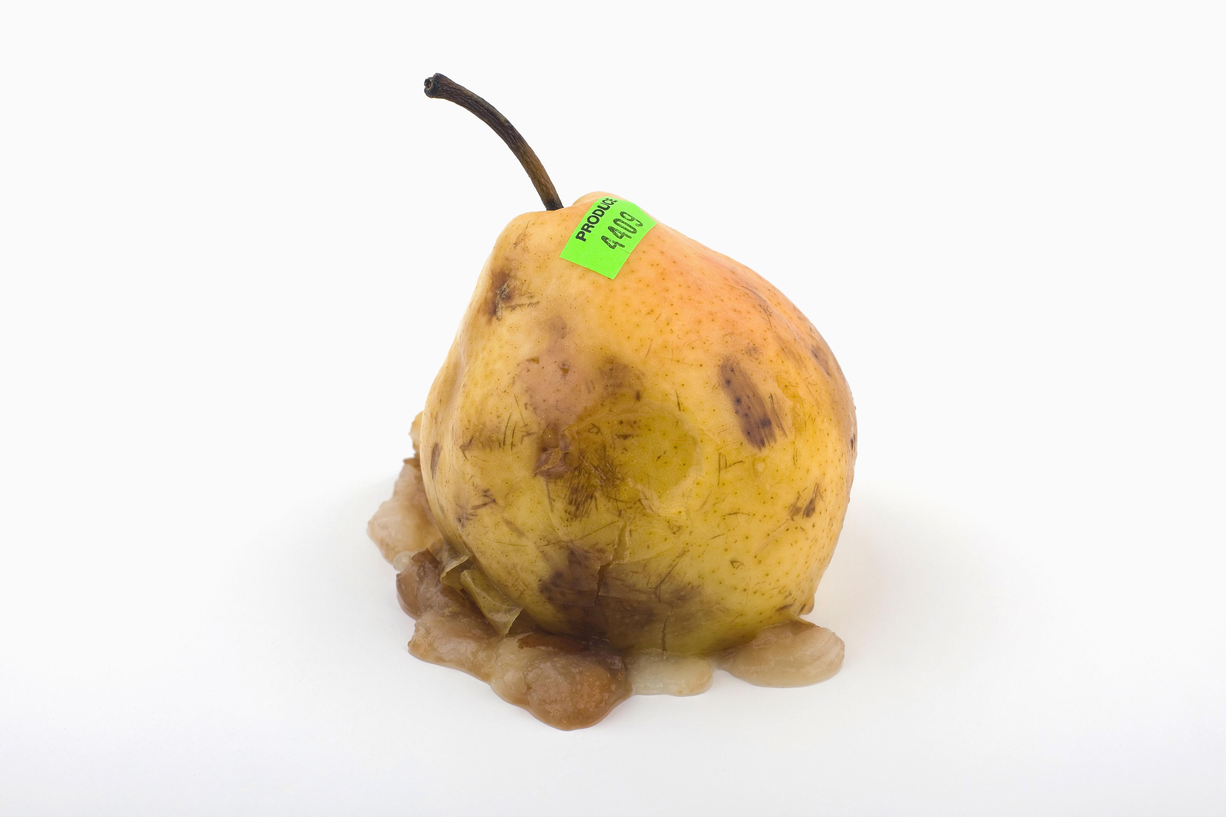 Rotten fruit – License Images – 550221 ❘ StockFood