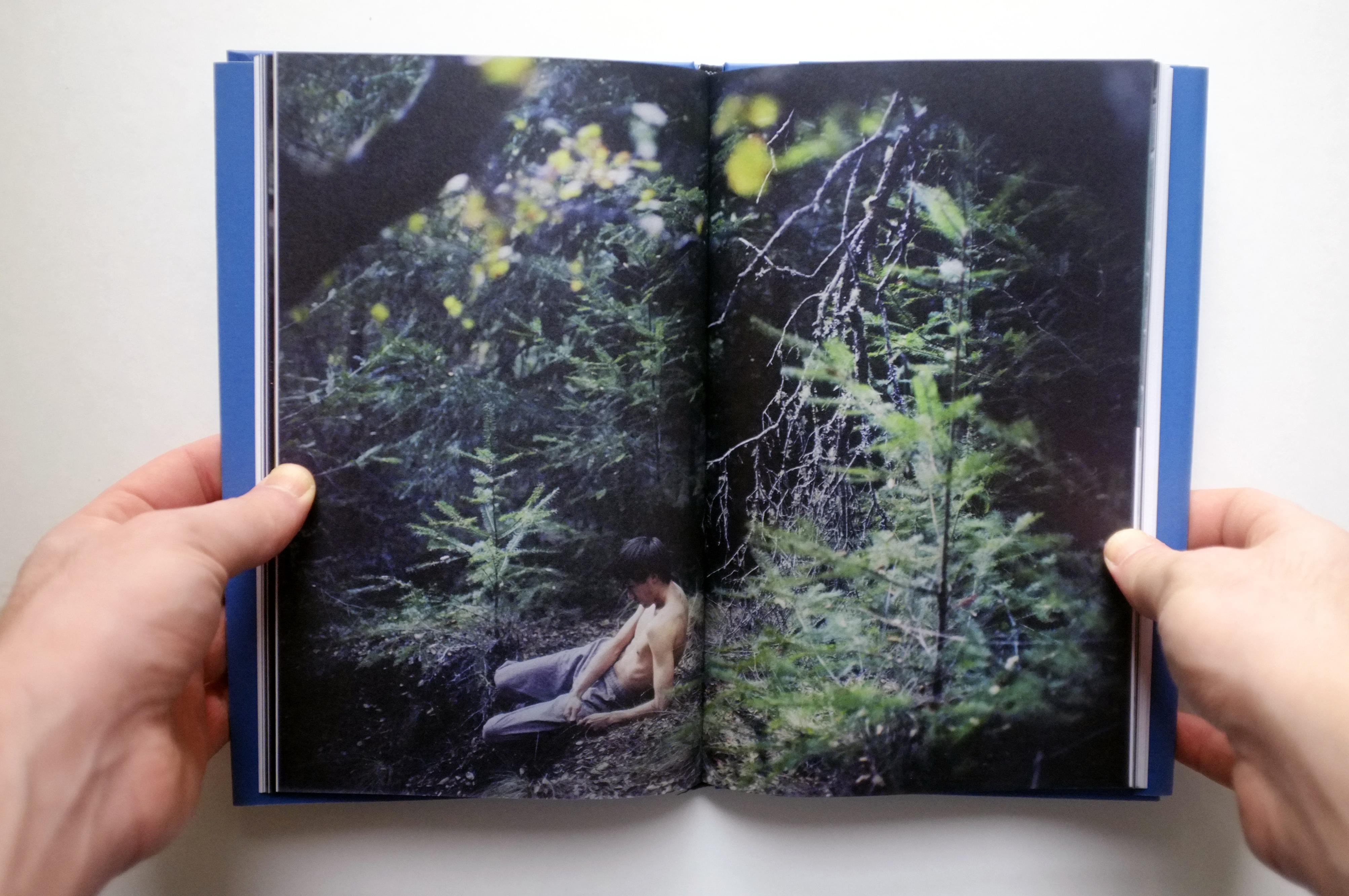 Beast by the waterfall guesthouse - Wenxin Zhan - Witty Books