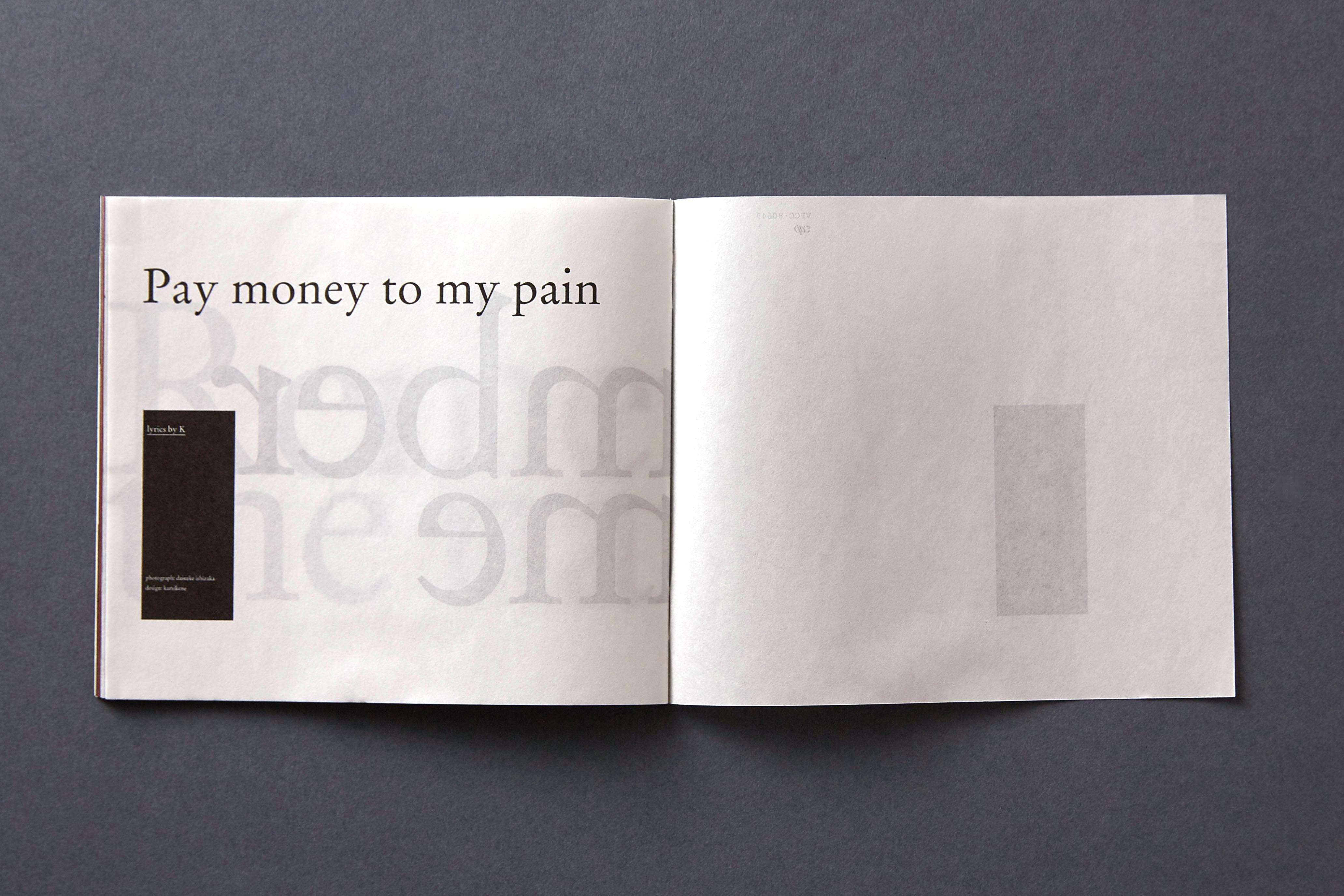 Pay Money To My Pain Remember The Name Cd 52 Page Booklet 11 Kamikene