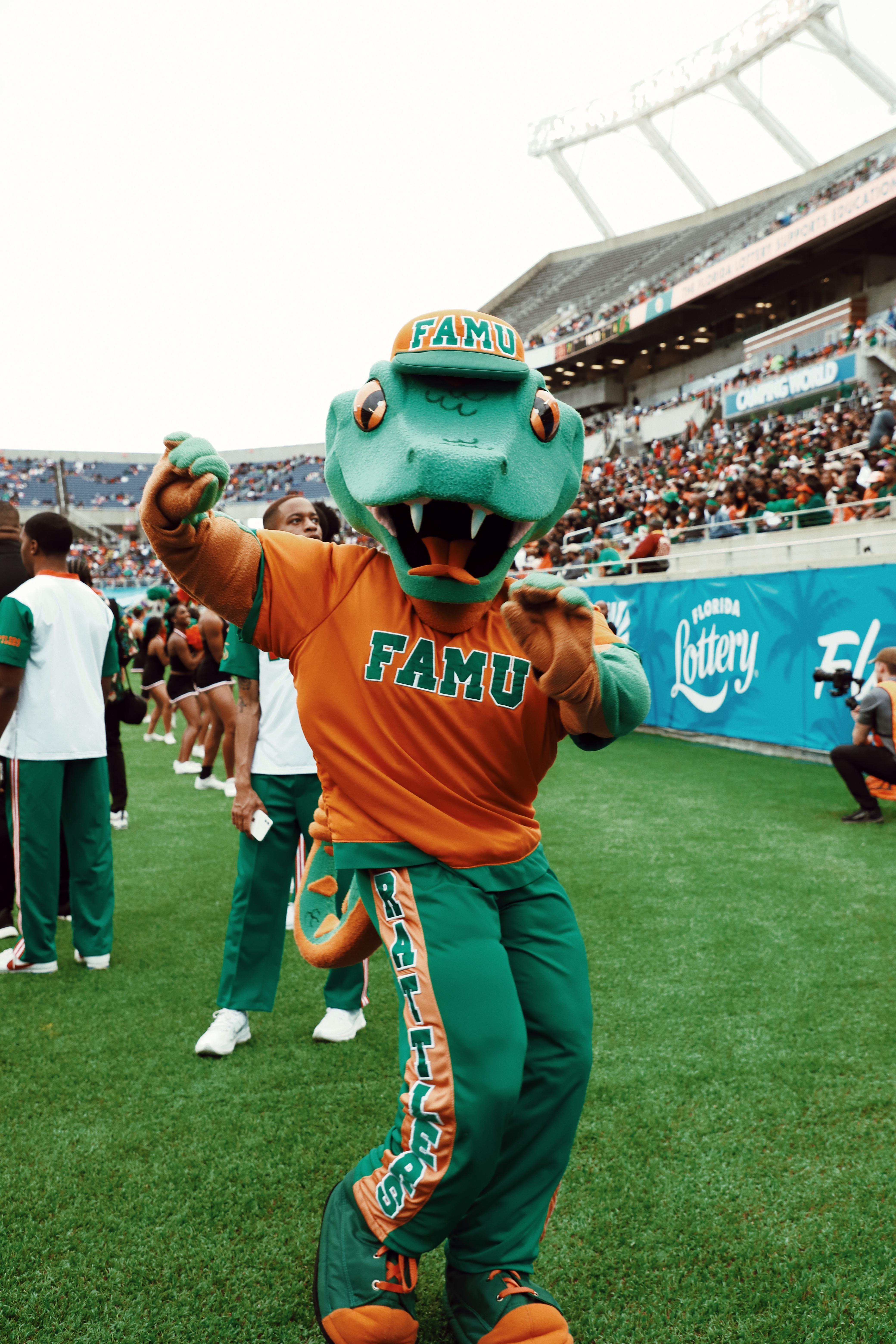 10 Most Famous Florida Mascots • Authentic Florida