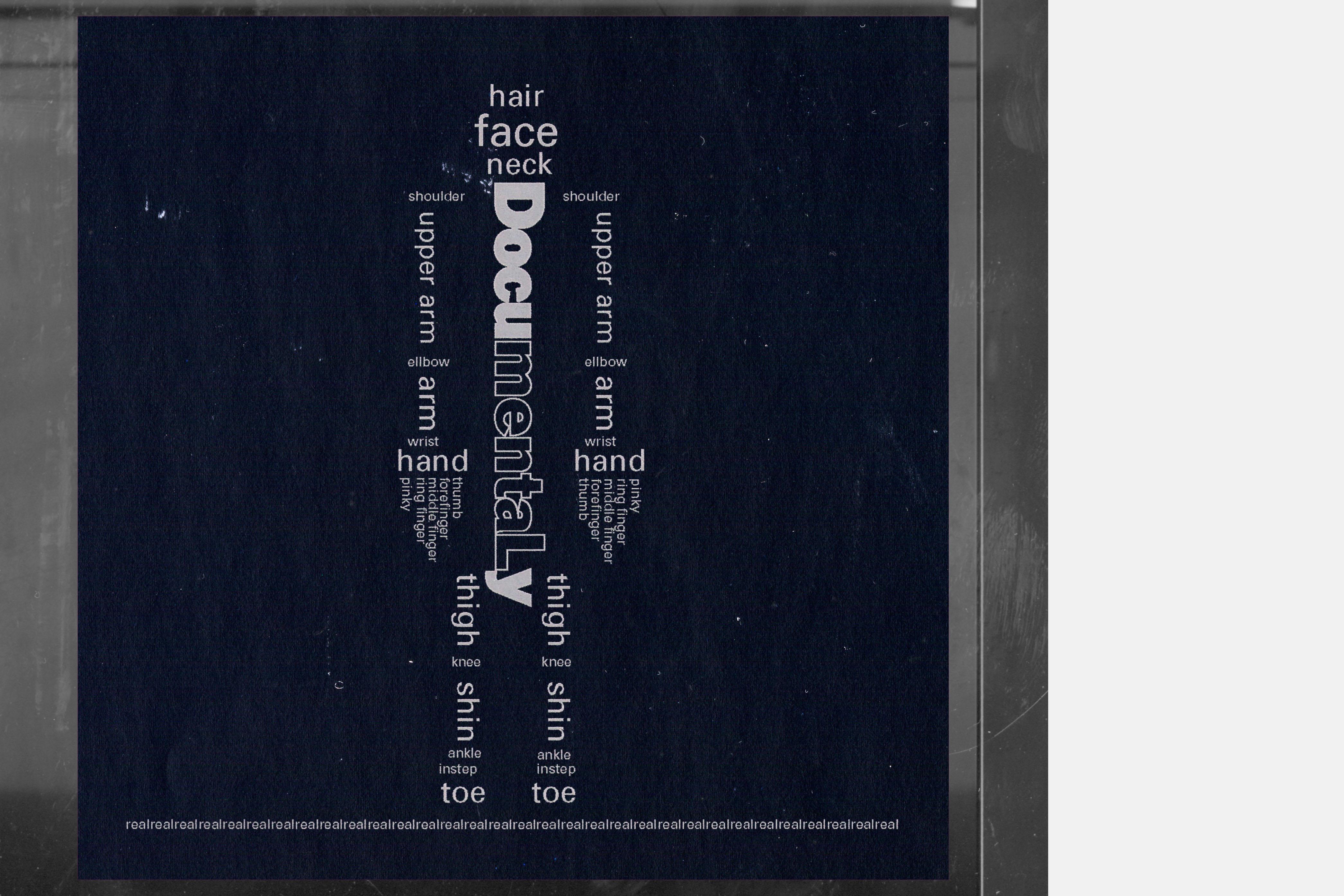 サカナクション: DocumentaLy (CD, 2 booklet, 2011) - Kamikene