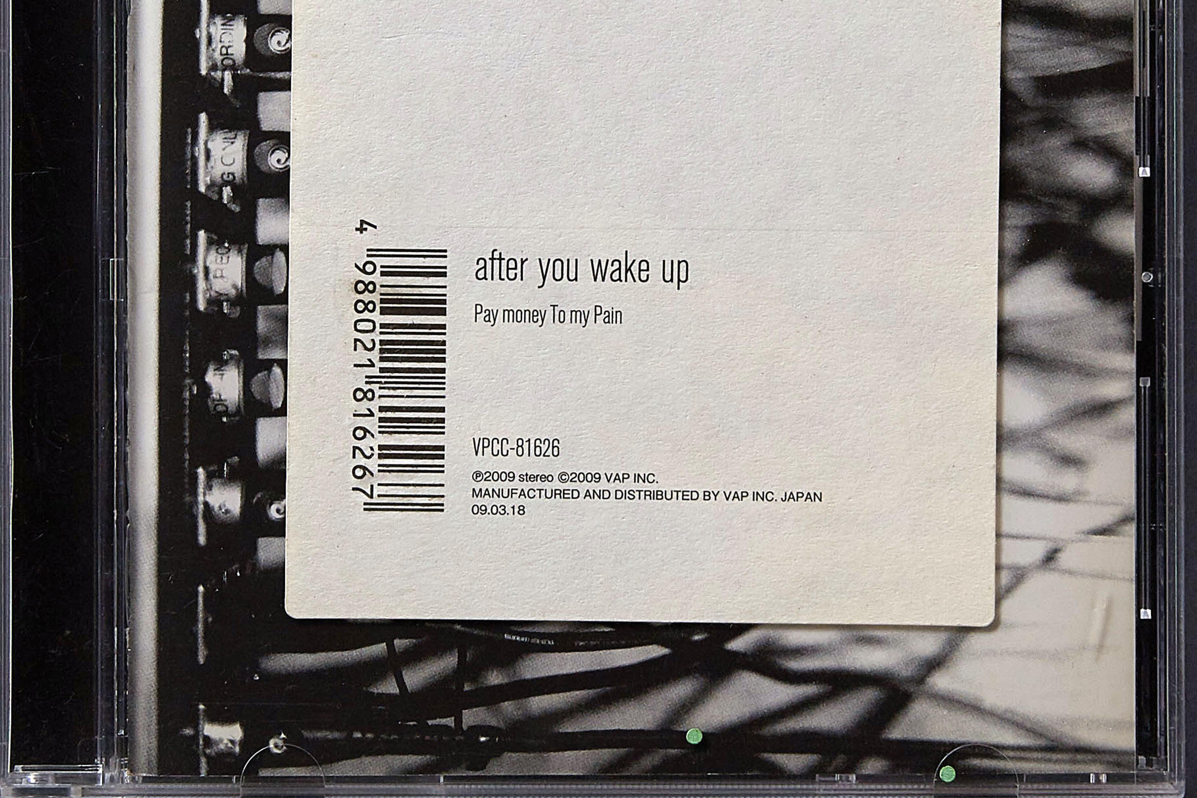 Pay money To my Pain: After you wake up (CD, 2009) - Kamikene