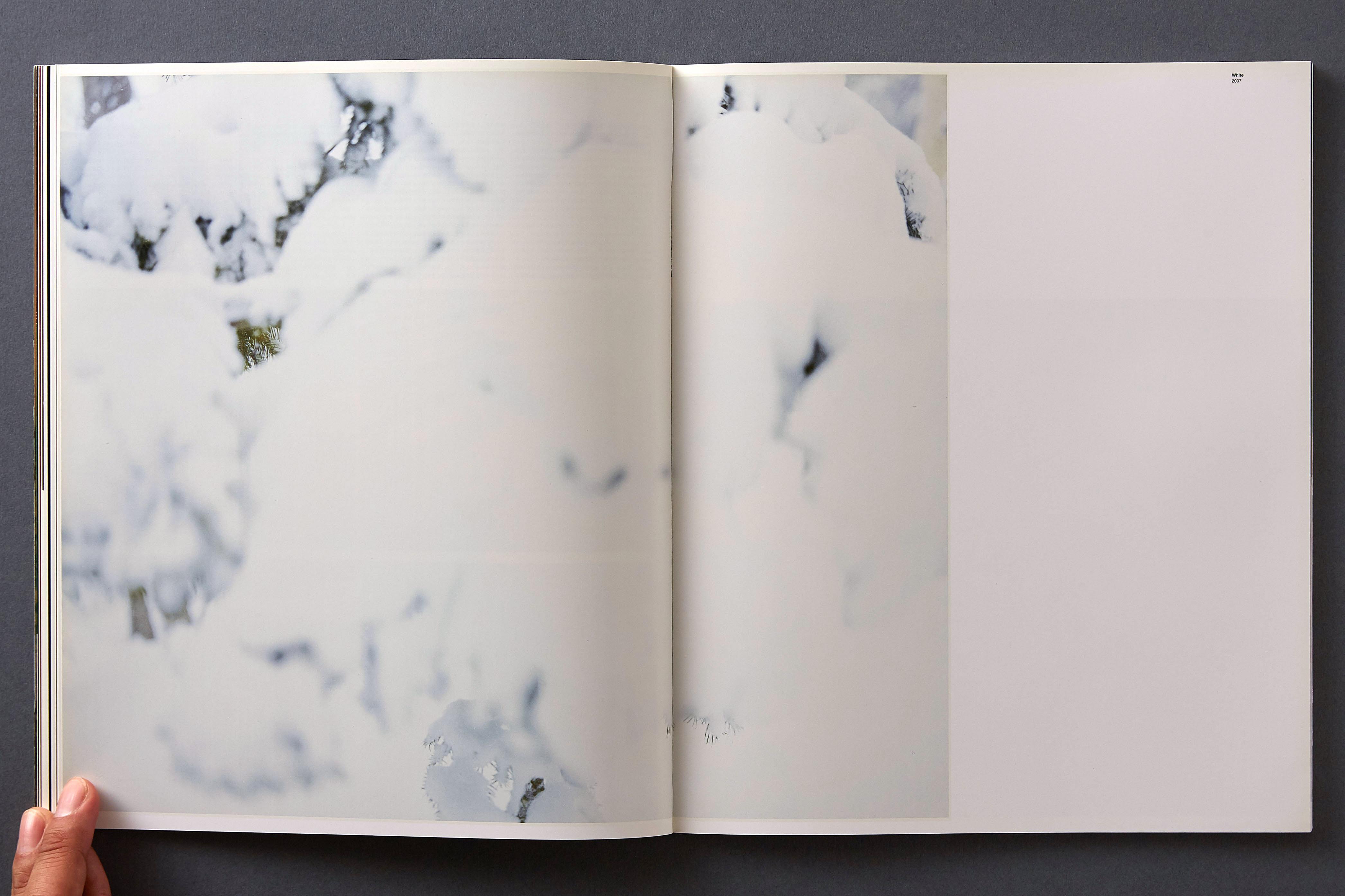 81: Vol.46—Photographer issue 4 (Magazine, 2009) - Kamikene