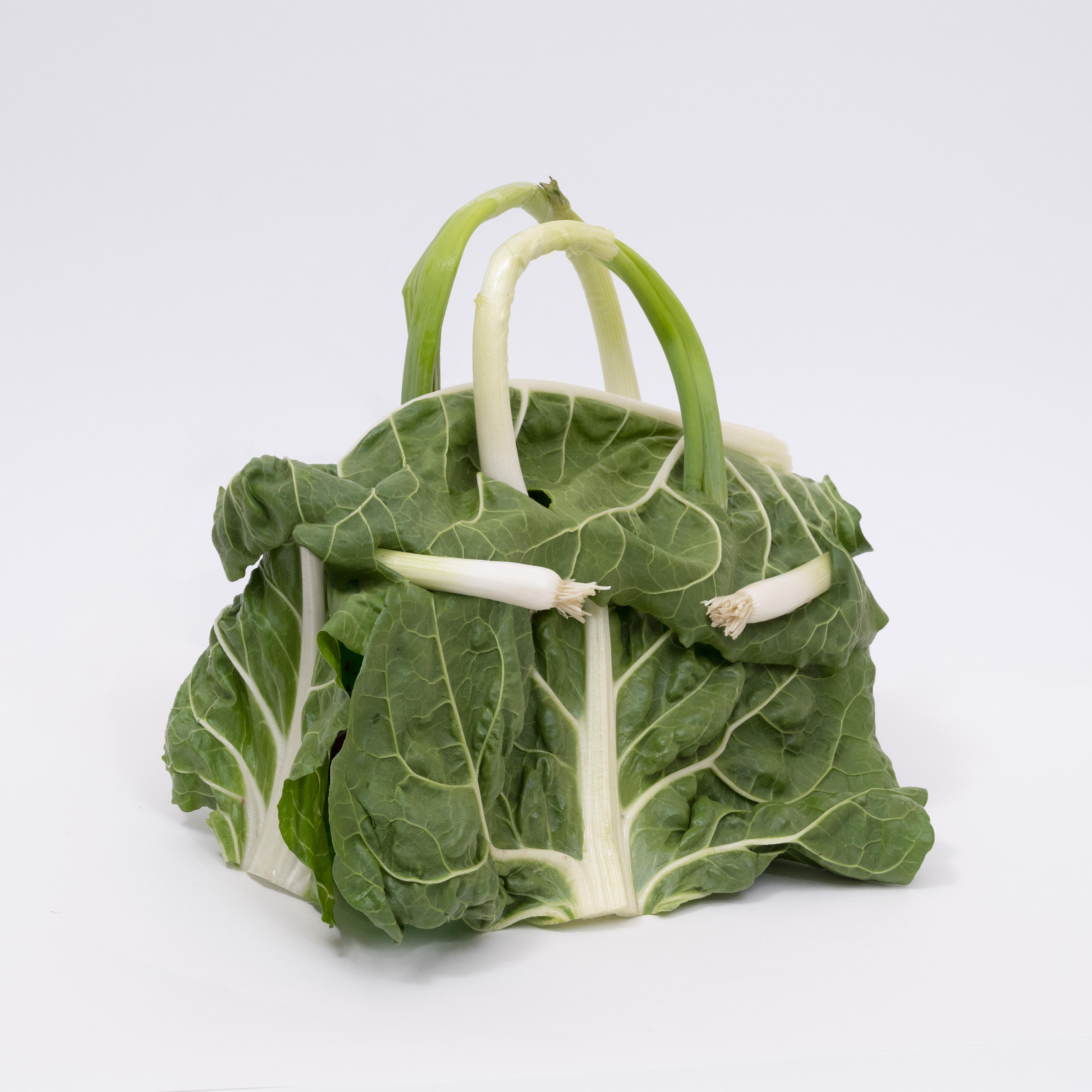 Ben Denzer Designs Vegetable Hermès Birkin Bags
