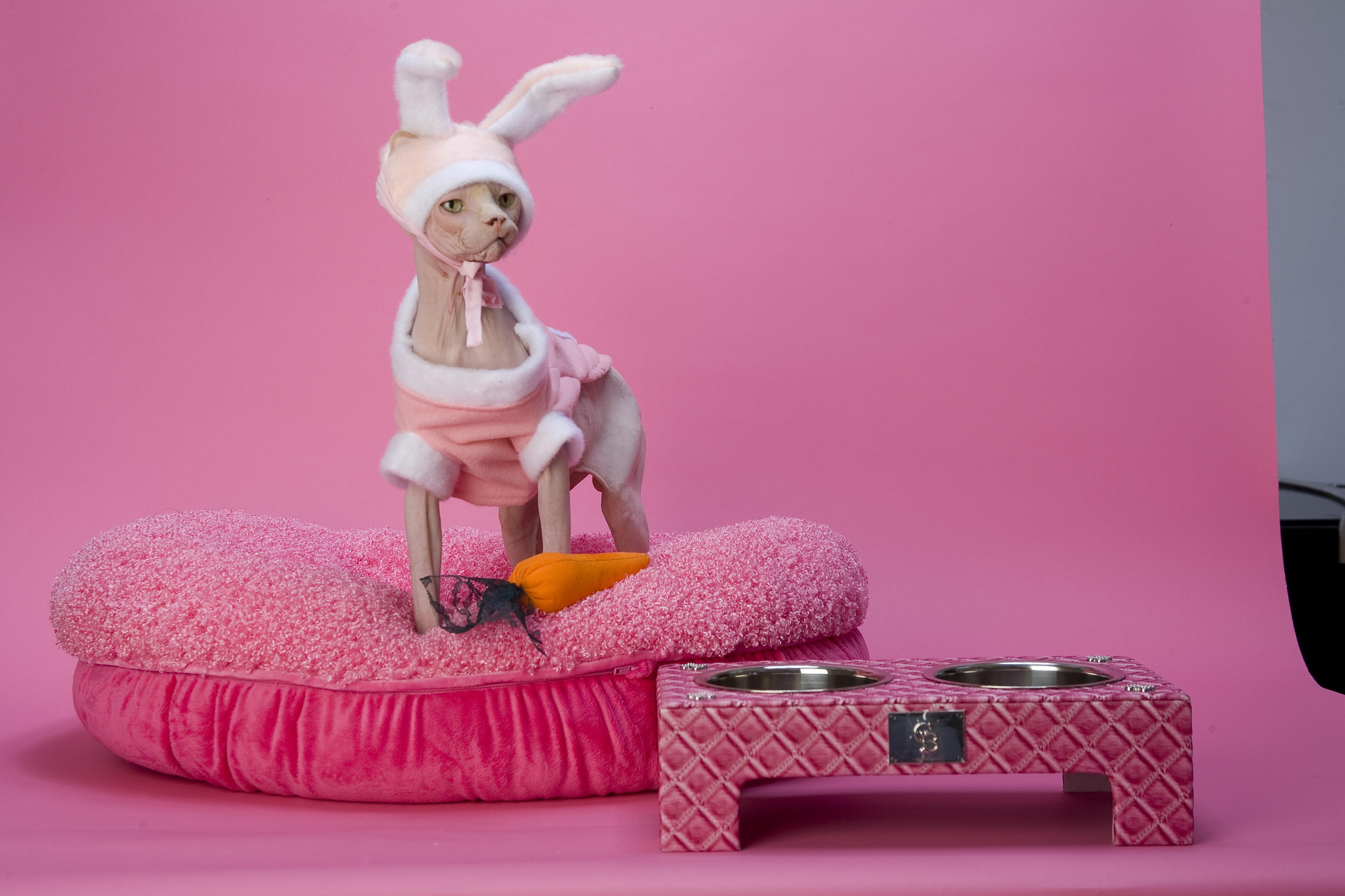 Luxury for Cats - Patrice Farameh