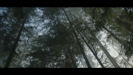 Andreas Psaltis-Sounds of Nature-North Vancouver Landscape