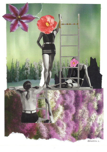 Belles plantes (30 x 40 cm, 2024 • 250€)