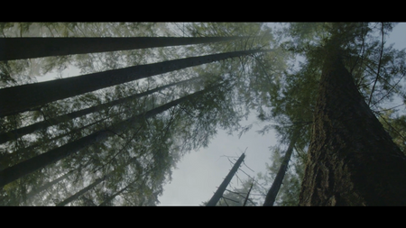 Andreas Psaltis-Sounds of Nature-North Vancouver Landscape