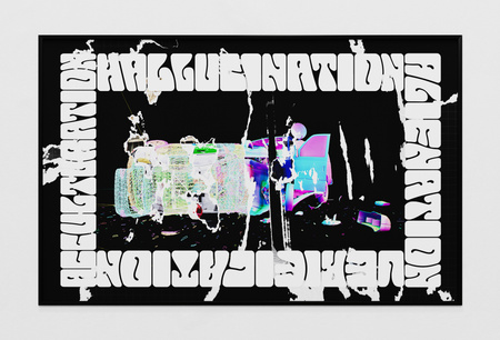 Hallucination, verification, acculturation, alienation, 2022, inkjet print, 25 x 39 in. (64 x 81 cm)