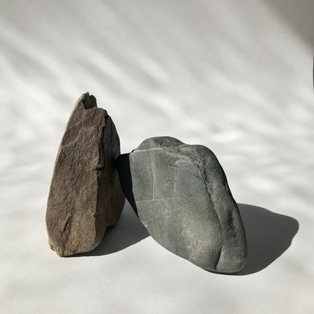 Shadowlark 3 – €250