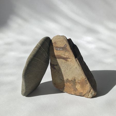 Shadowlark 2 – €250