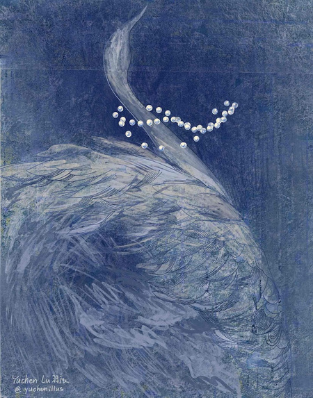 Swan