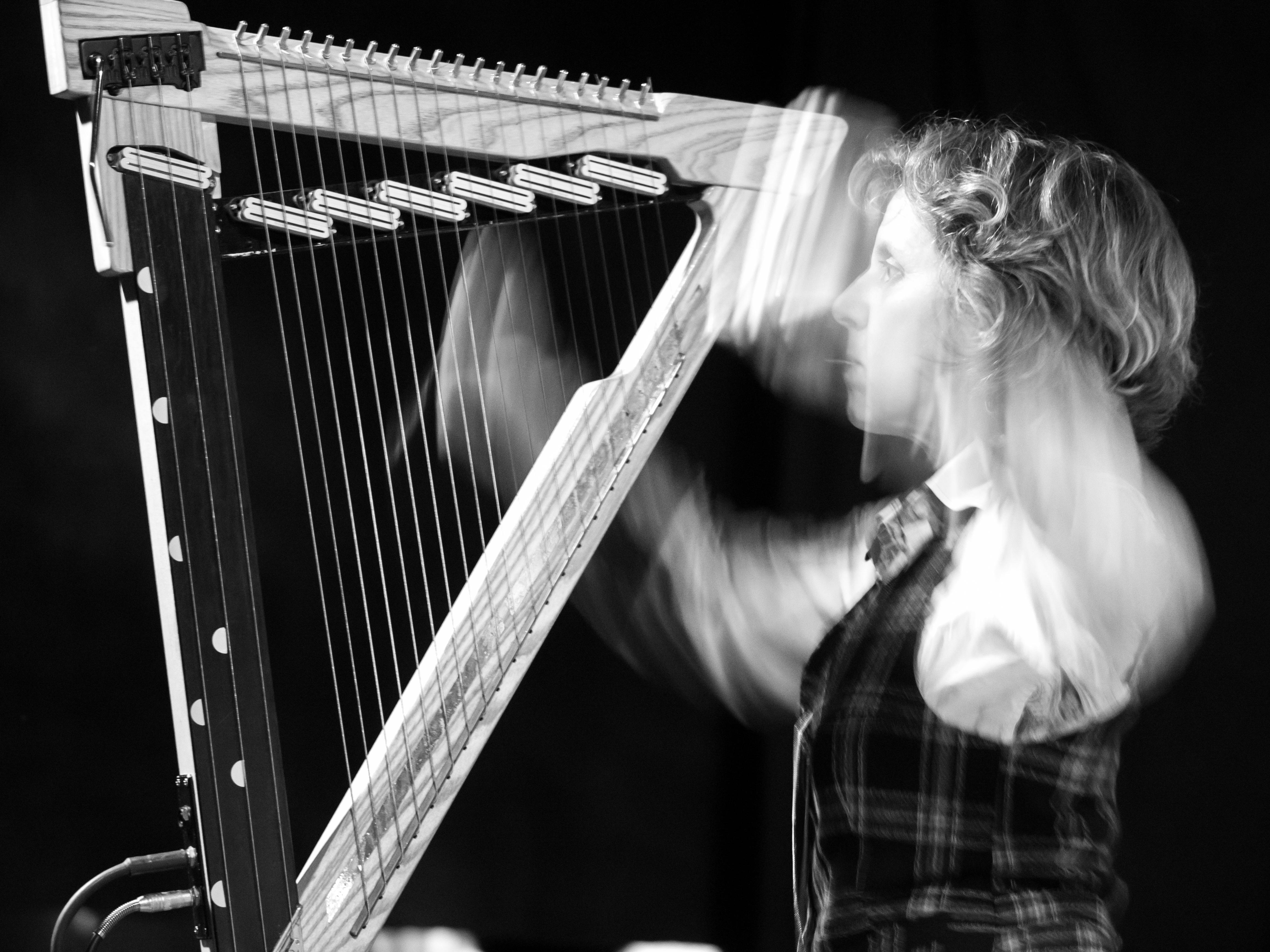 Instruments Electric Harp - Zeena Parkins
