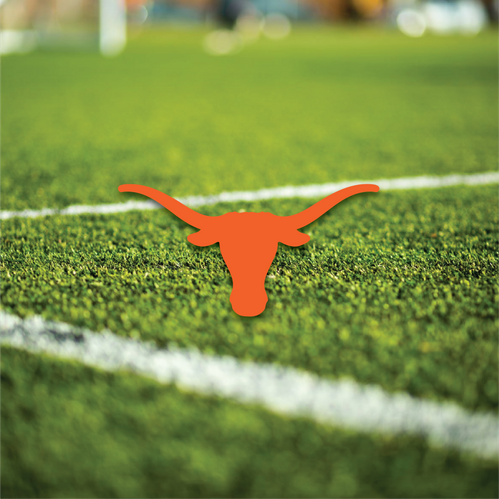 University Of Texas
