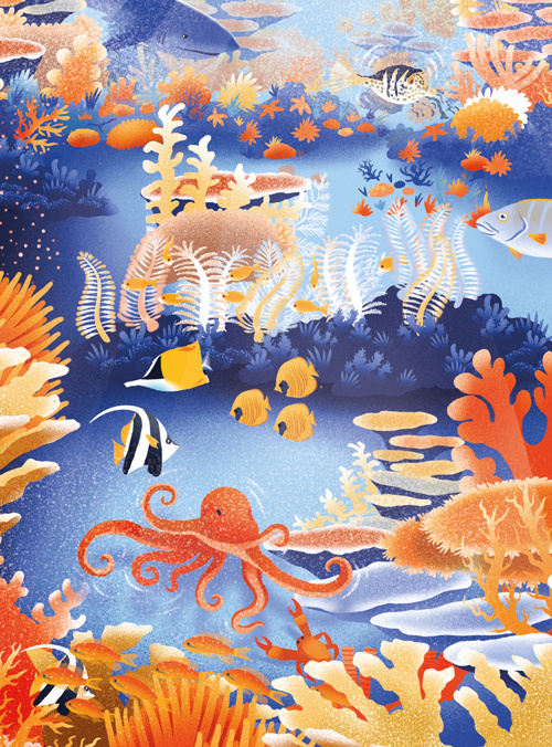Peek Inside Coral Reef (Pop-up Book): THEWORKS: 9781907786136