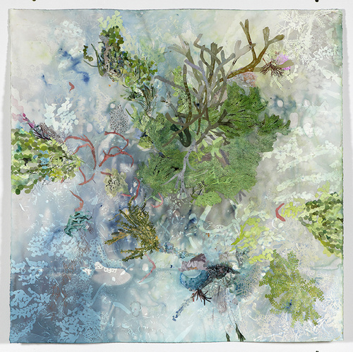 Sarah Pirrie, 2017, Macrotidal Quadrat Series (01), 1140x1140mm, Watercolour, gouache, dyes on Arches paper