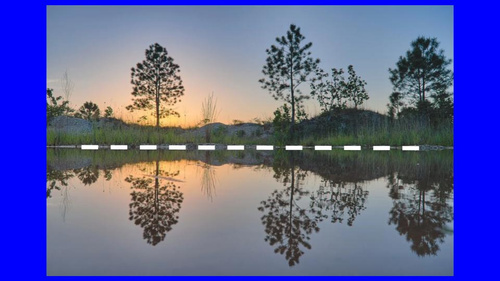 reflection or line of symmetry