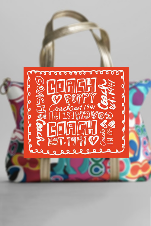 COACH Poppy Crossbody Bag – Vinee Bag