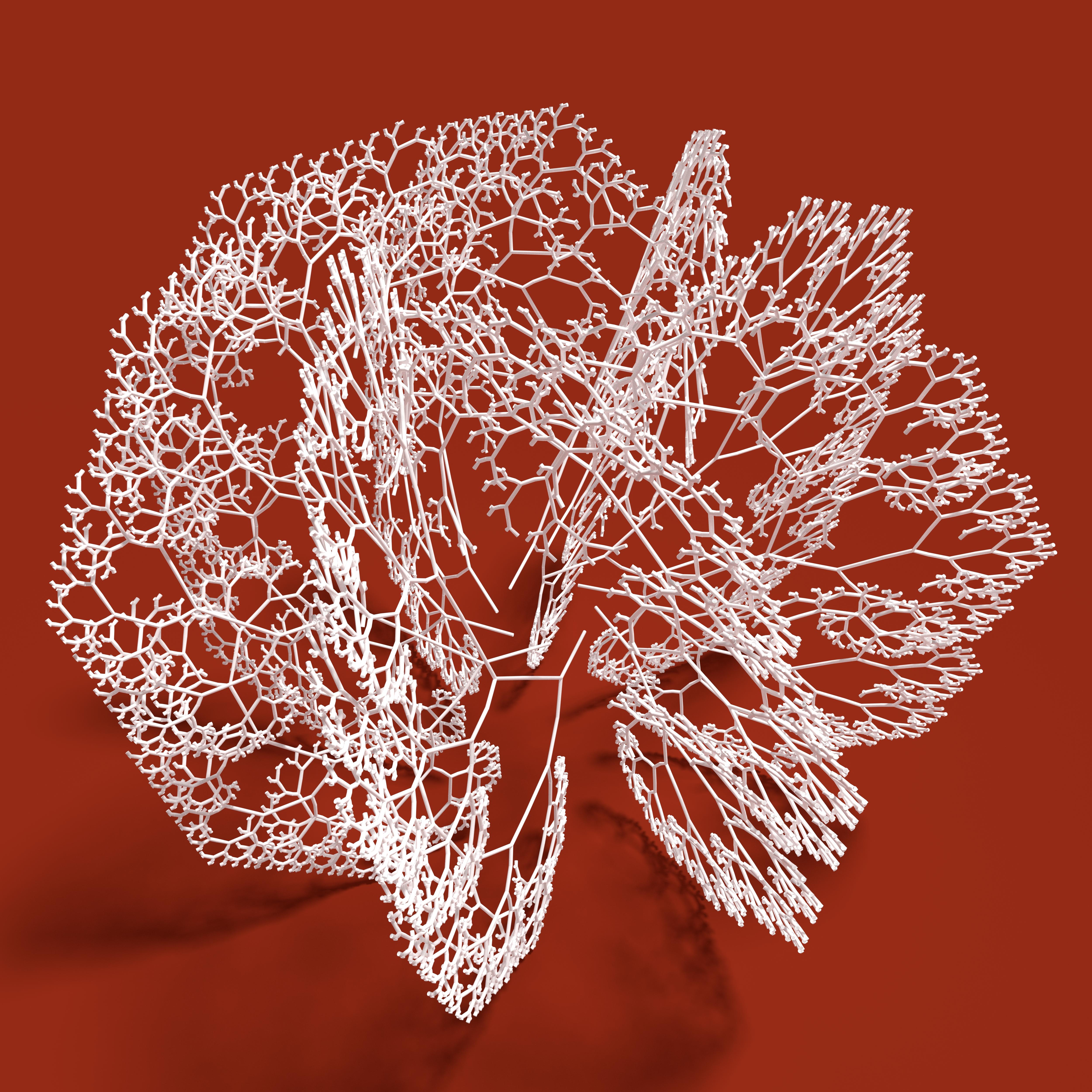 Technology and Social Organizations Design in Nature: How the Constructal Law Governs Evolution in Biology Physics
