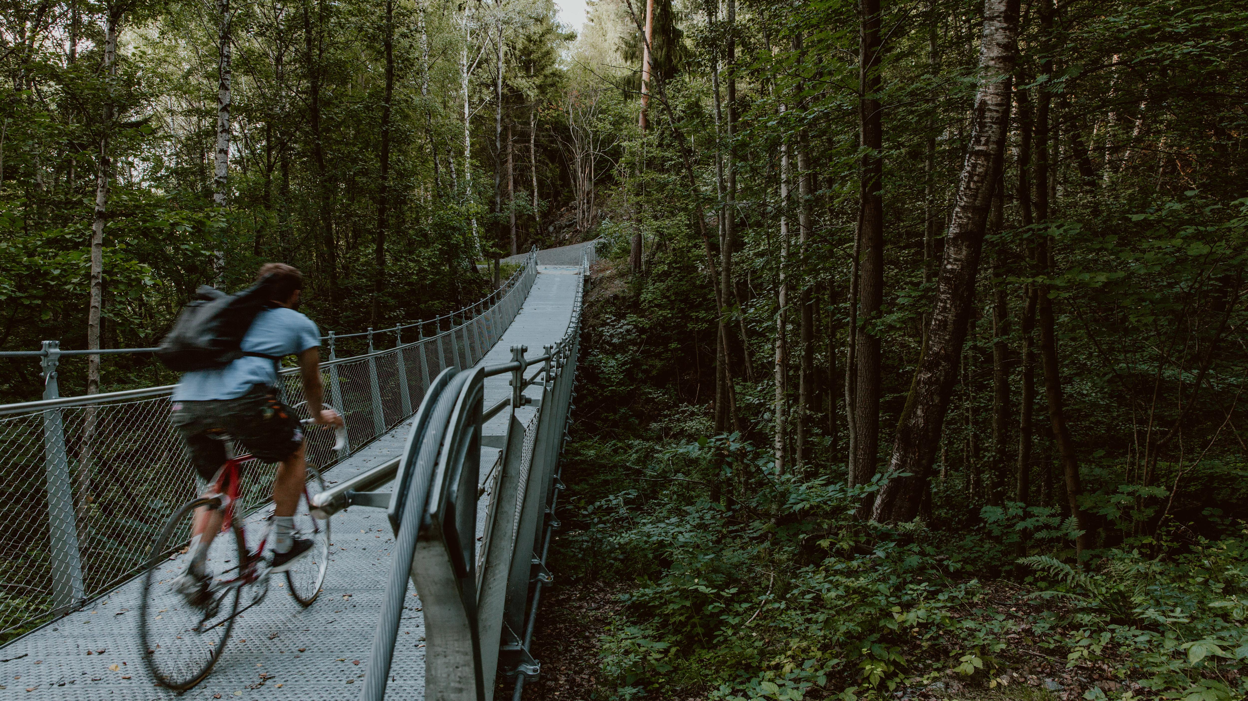 Forest nine バナサポレッグ bridging plate Forest nine