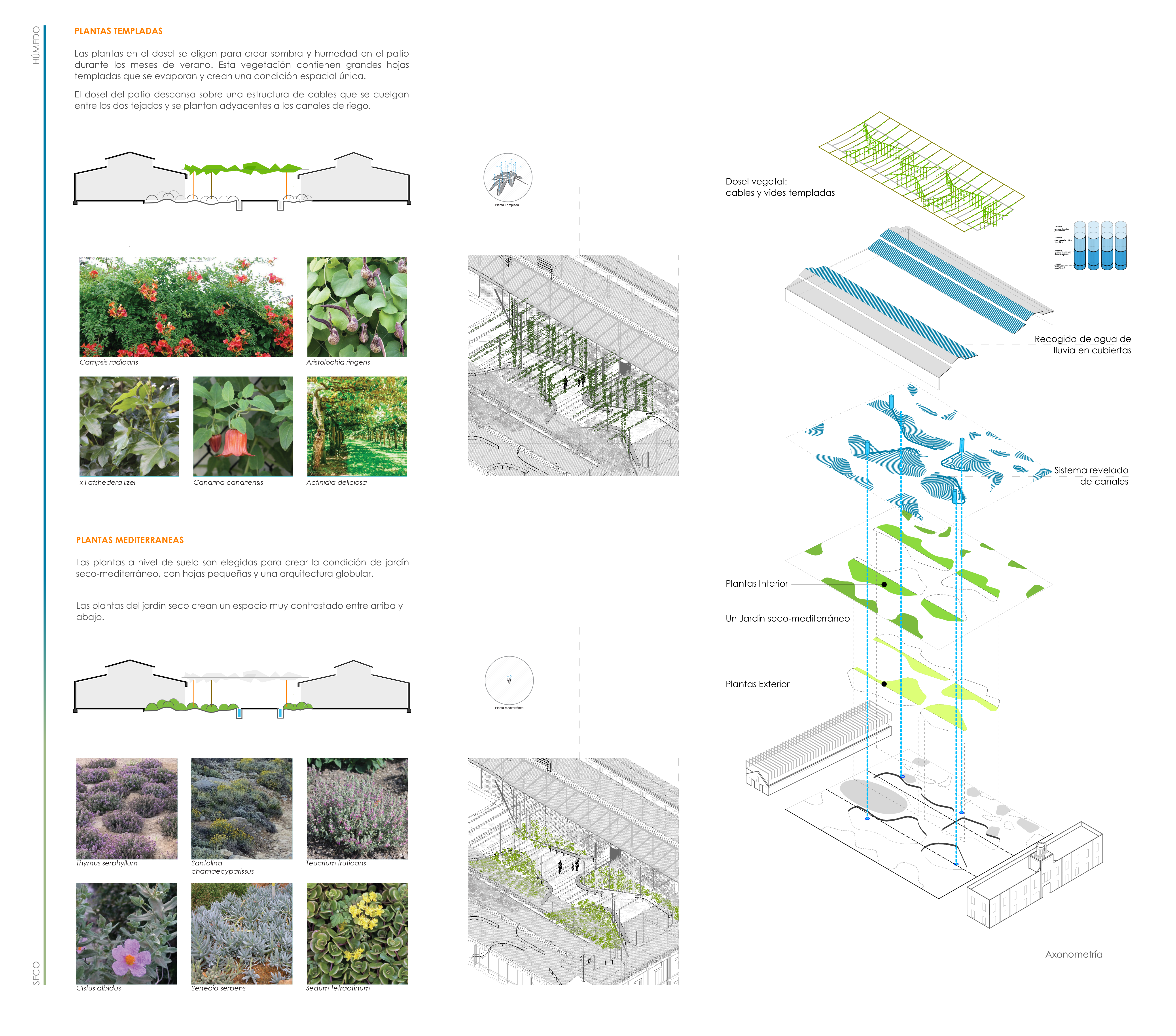 COLONYA CAIXA POLLENÇA - Office of Living Things