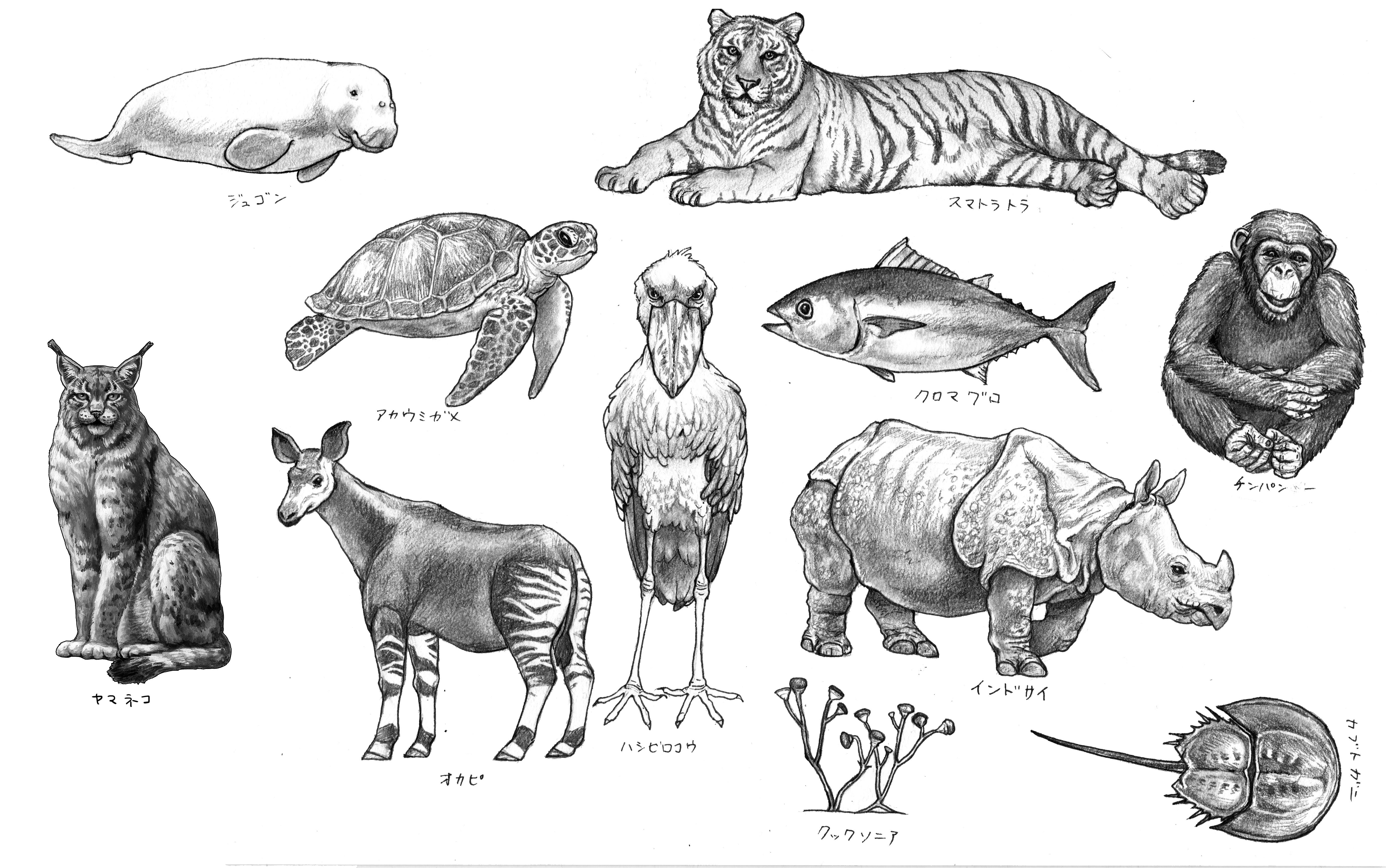 An Illustrated Book of EXTINCT ANIMALS - Hikaru's Portfolio