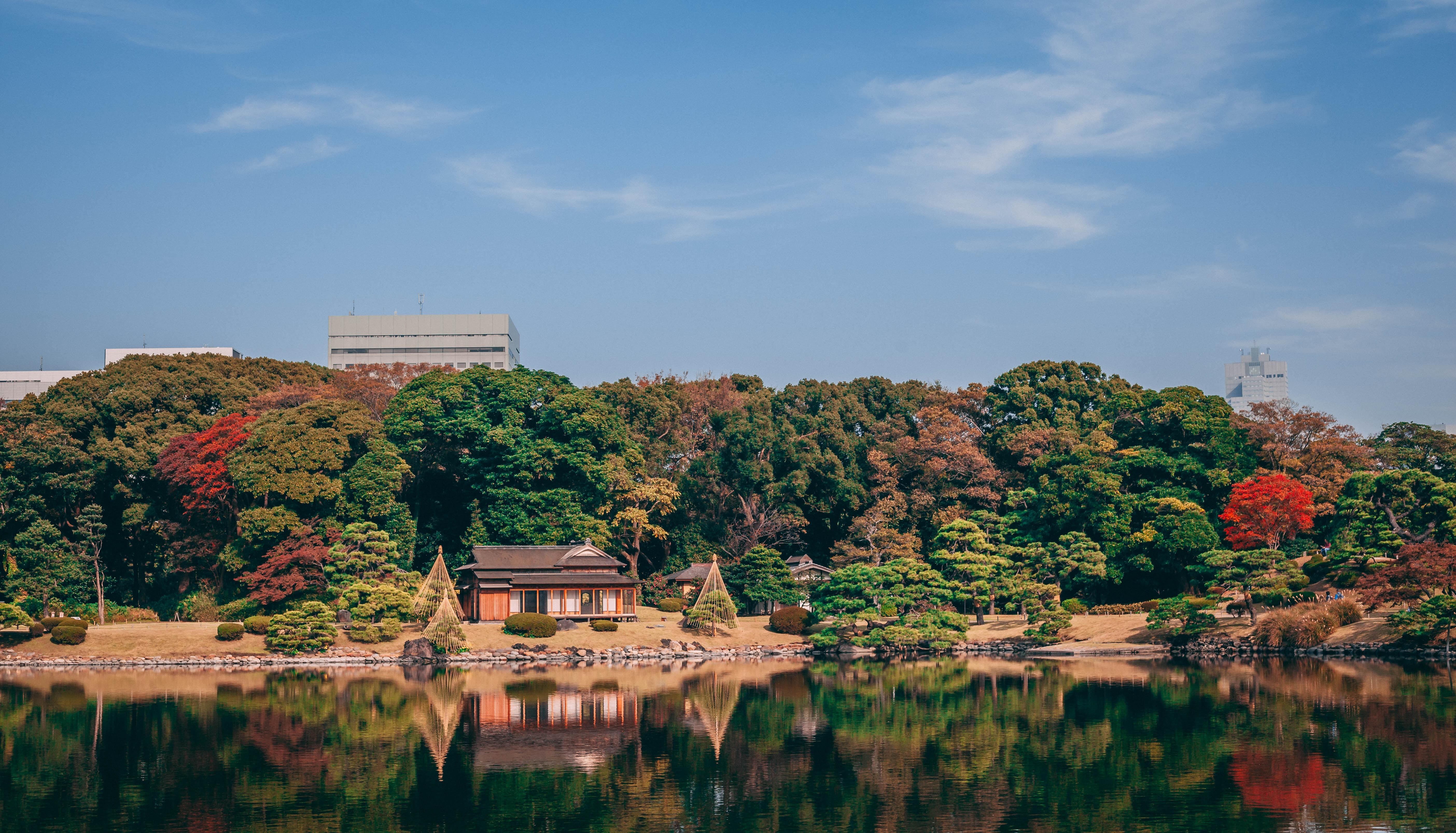 Hama Rikyu Garden And Tea House Shiodome When In Tokyo Tokyo S Art Design And Architecture Guide