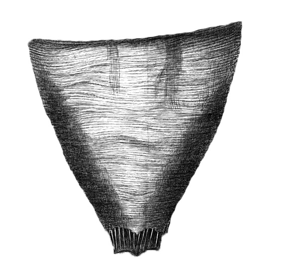 Abdomen