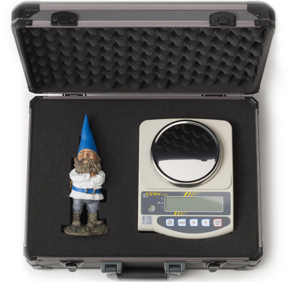 The Gnome Experiment — Portfolio