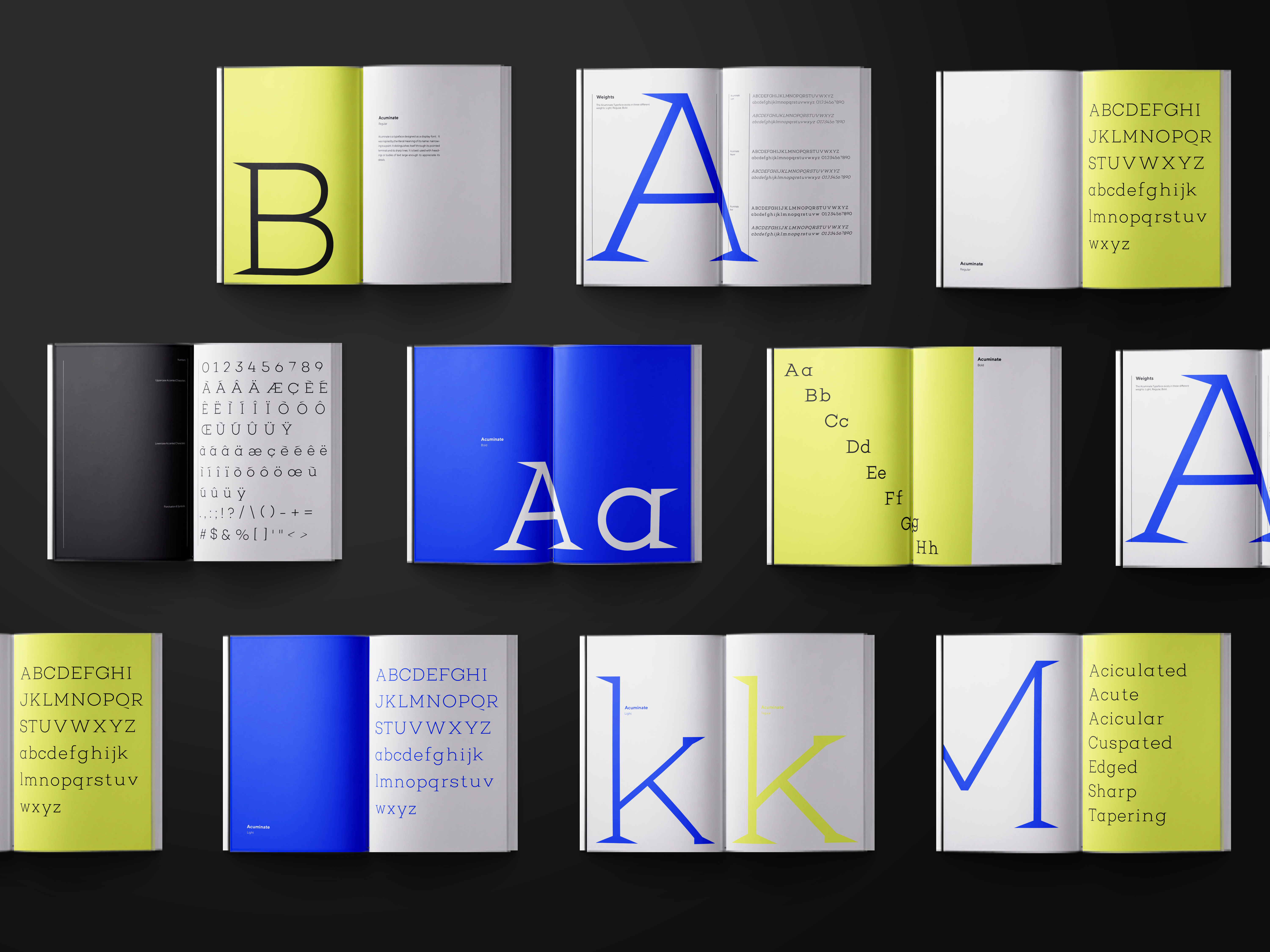 Acuminate Ella Roy S Portfolio